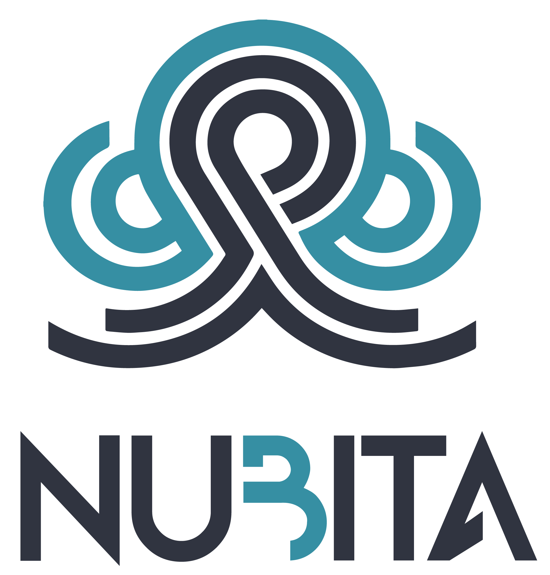 Nubita Data Solutions logo